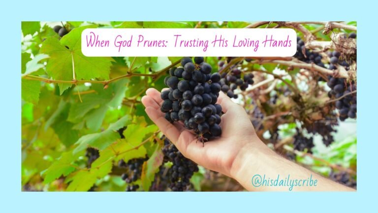 Hand gently holding grapes beneath a vine – symbolic of when God prunes for greater fruitfulness