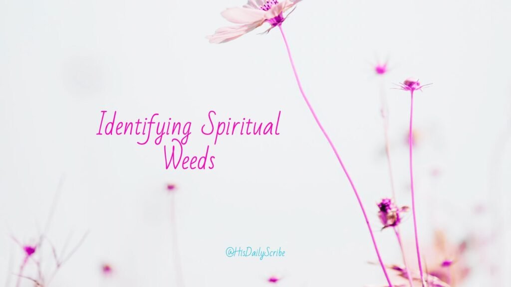 Floral background with text overlay: Identifying spiritual weeds