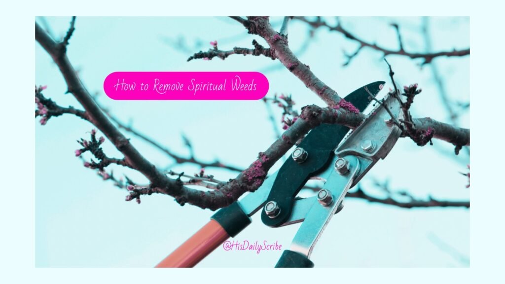 Image of a tree being pruned with text overlay: How to remove spiritual weeds. 
