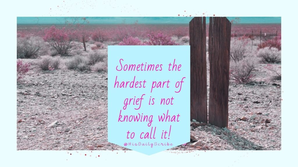 The Grief No One Sees: Healing from What You Can’t Even Explain 4 Weathered wooden fence in a dry field with text overlay: “Sometimes the hardest part of grief is not knowing what to call it.”